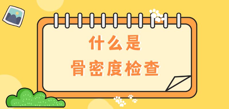 【雙能x線骨密度儀】什么是骨密度檢查？該怎么查？